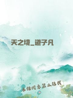 天之境