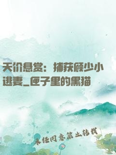 天价悬赏：捕获顾少小逃妻