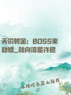 天价聘金：BOSS来劫婚