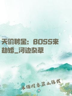 天价聘金：BOSS来劫婚