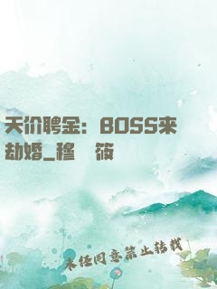 天价聘金：BOSS来劫婚