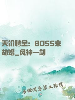 天价聘金：BOSS来劫婚
