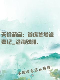 天价萌宝：首席爹地追妻记
