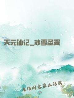 天元仙记