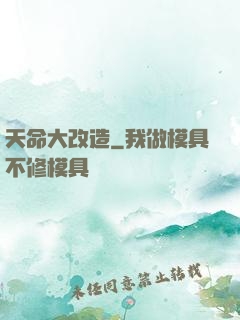 天命大改造