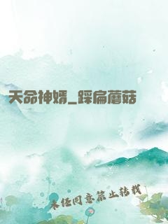 天命神婿