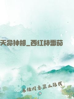 天命神相