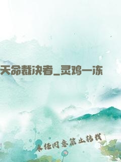 天命裁决者