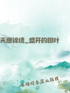 天唐锦绣
