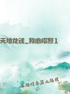 天地龙魂
