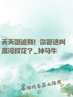 天天倒追我！你管这叫高冷校花？