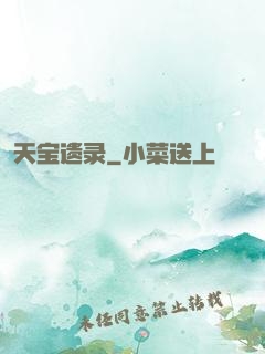 天宝遗录