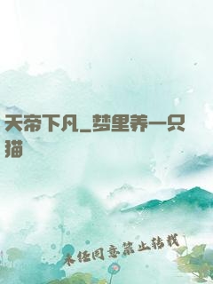 天帝下凡