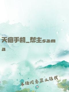 天庭手机
