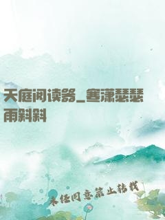 天庭阅读器