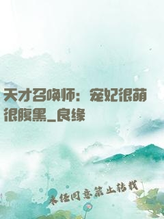 天才召唤师：宠妃很萌很腹黑