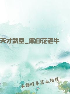 天才武圣