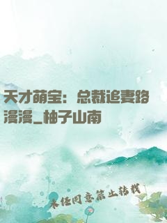 天才萌宝：总裁追妻路漫漫