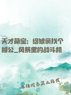 天才萌宝：给娘亲找个相公