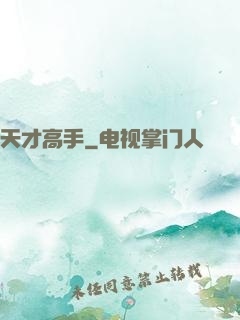 天才高手