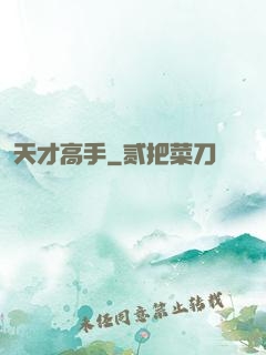 天才高手