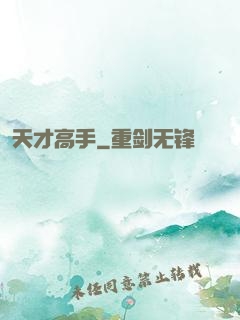 天才高手