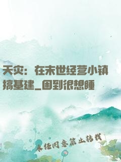 天灾：在末世经营小镇搞基建