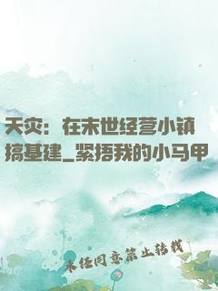 天灾：在末世经营小镇搞基建