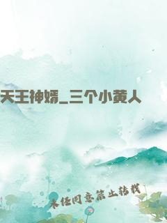 天王神婿