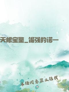 天眼宝鉴
