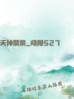 天神禁条