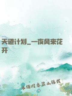 天道计划