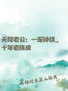 天降老公：一宠钟情