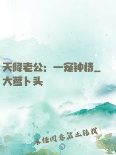 天降老公：一宠钟情