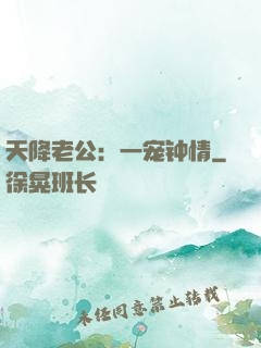 天降老公：一宠钟情