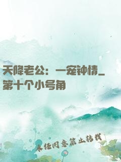 天降老公：一宠钟情