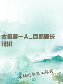 太极第一人