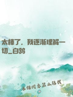 太棒了，我逐渐理解一切