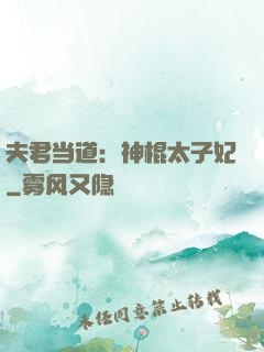 夫君当道：神棍太子妃