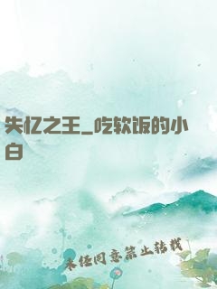 失忆之王