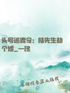头号追妻令：陆先生劫个婚
