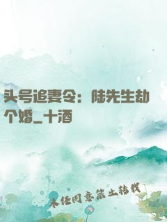 头号追妻令：陆先生劫个婚