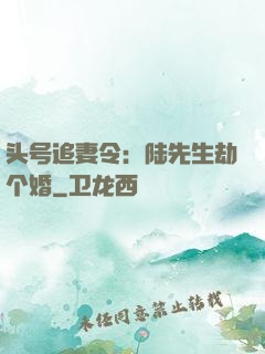 头号追妻令：陆先生劫个婚