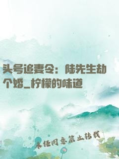 头号追妻令：陆先生劫个婚