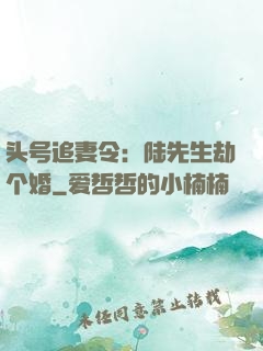 头号追妻令：陆先生劫个婚