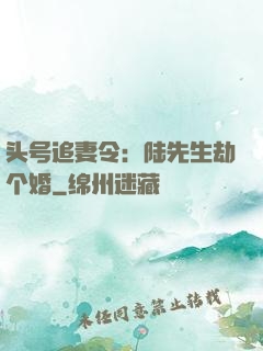 头号追妻令：陆先生劫个婚