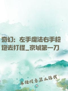 奇幻：左手魔法右手枪炮去打怪