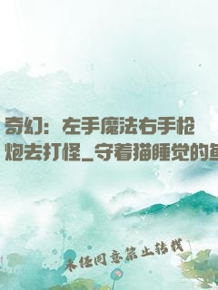 奇幻：左手魔法右手枪炮去打怪