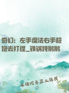 奇幻：左手魔法右手枪炮去打怪