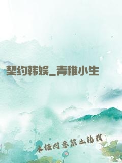 契约韩娱